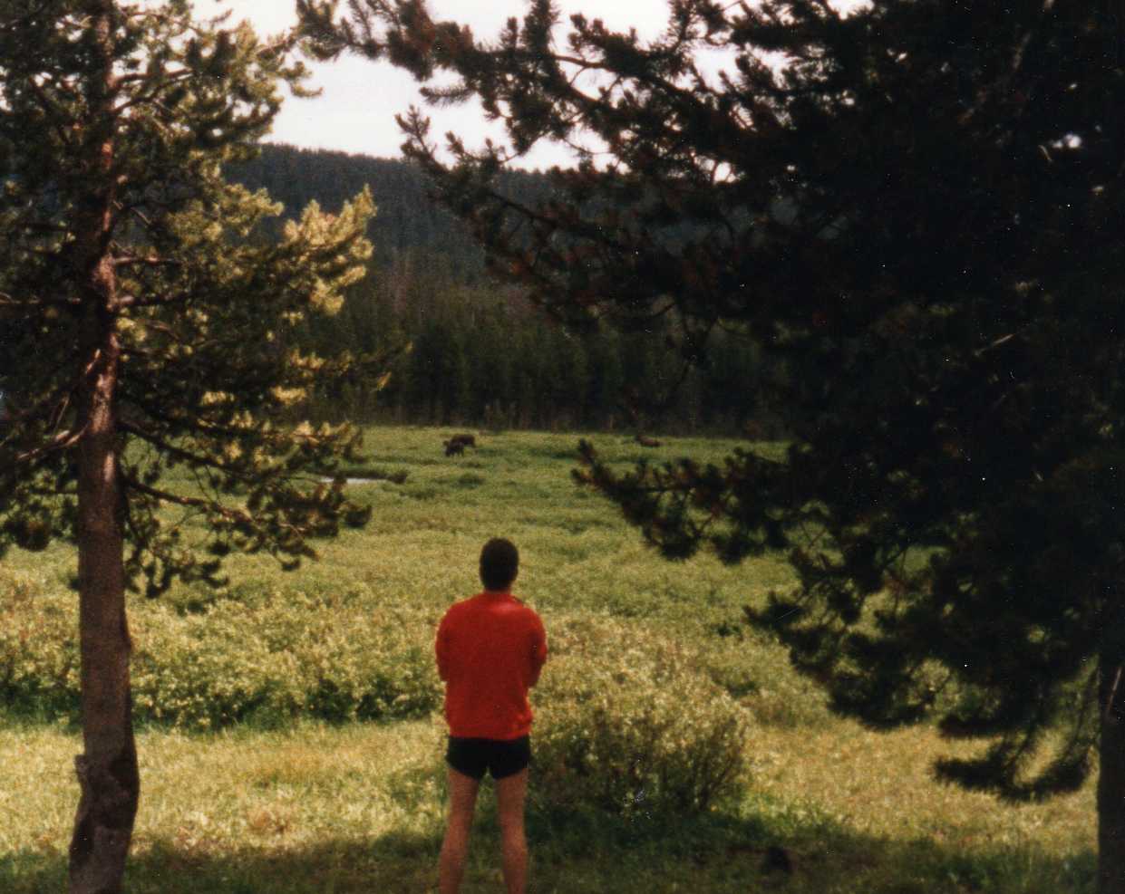 Image 32